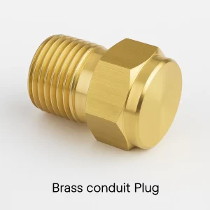 Brass conduit Plugs