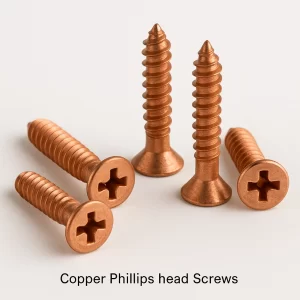 Copper Phillips head Screws