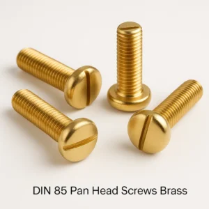 DIN 85 Pan head screws