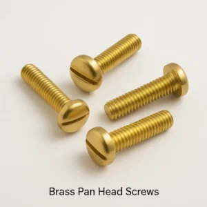 Brass Pan head Screws